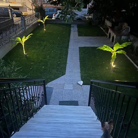 Irdis Garden *